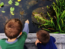 Load image into Gallery viewer, Monthly Phipps Membership